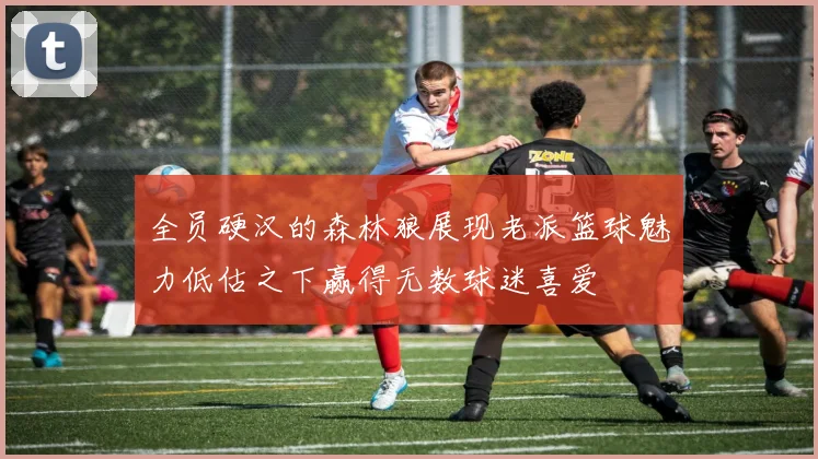 全员硬汉的森林狼展现老派篮球魅力低估之下赢得无数球迷喜爱